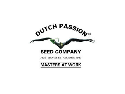 DUTCH PASSION