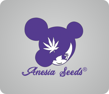 Anesia Seeds