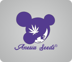 Anesia Seeds