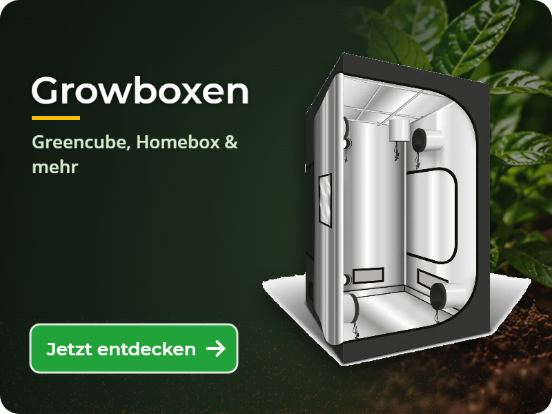 Growboxen: Greencube, Homebox & mehr