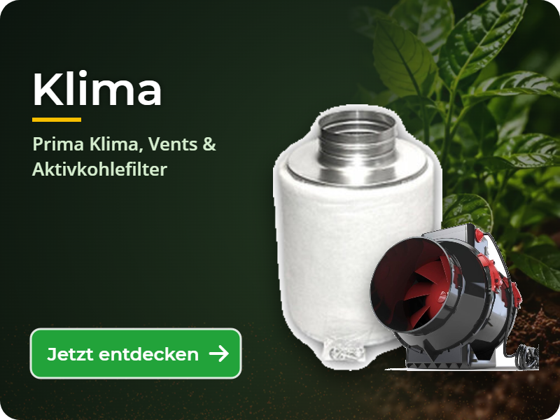 Klima & Lüftung: Prima Klima, Vents, Aktivkohlefilter