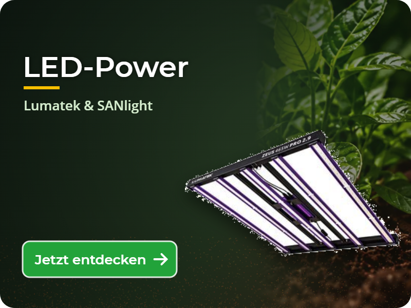 LED-Beleuchtung von Lumatek & SANlight