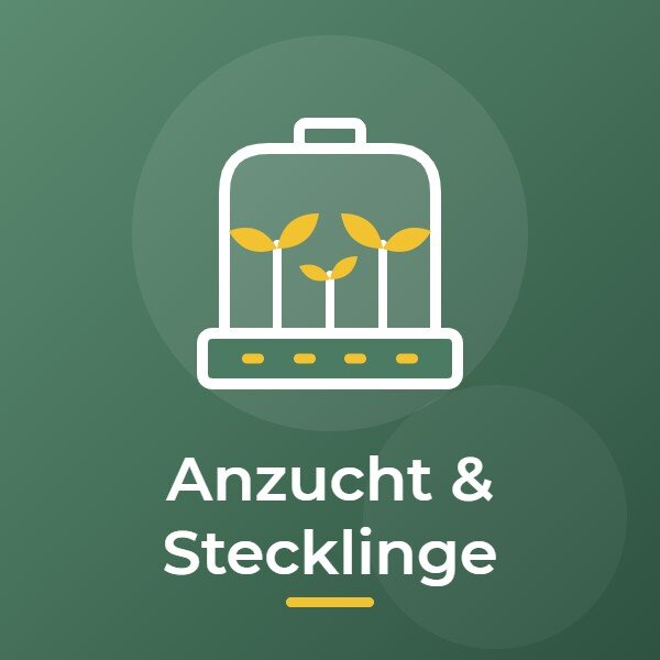 Anzucht & Stecklinge