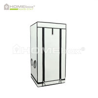 Homebox Ambient Q60