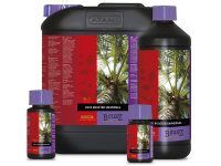 ATAMI B´cuzz Coco Booster 100ml