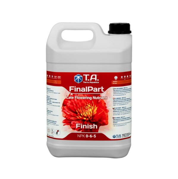T.A. Final Part 5L