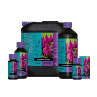 ATAMI BCuzz Blossom Builder Liquid 5L