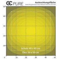 GC-PURE 80