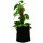 GREENCUBE TEXTILPOT BLACK 11 liter