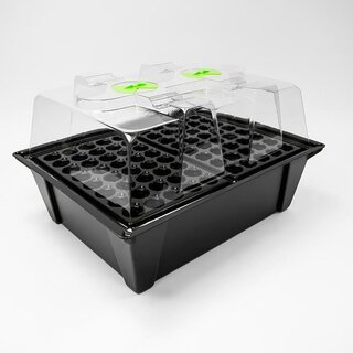 X-Stream 80 Hydro Gewächshaus