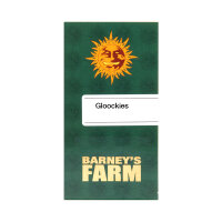 Glookies Fem 3 StcK /30%Sat.70%Ind./60-70Tage