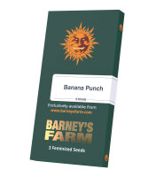 Banana Punch,Fem. 3Stck/45%Sat55%Ind/60-65Tage