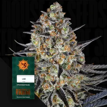 LSD Auto Fem./3StcK/30%Sat.70%Ind./65-70Tage