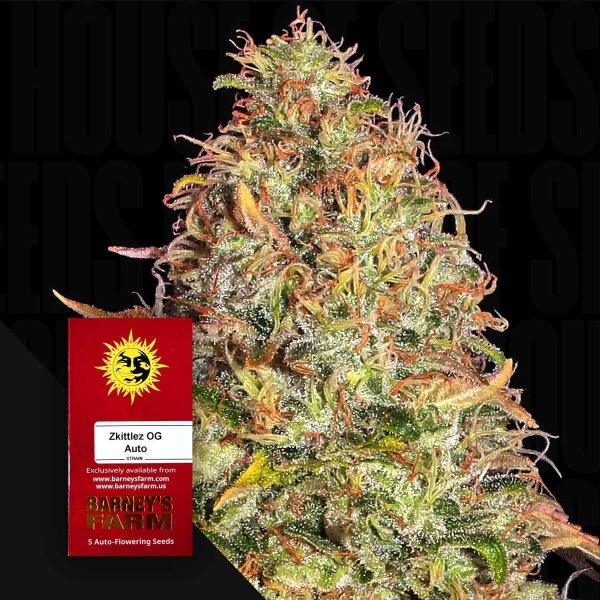 Zkittelz OG Auto Fem./3StcK/50%Sat50%Ind/70Tage