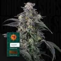 Super Boof Fem./3Stck/50%Sat.50%Ind/56-63Tage
