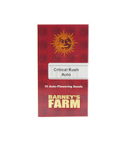 Critical Kush Auto/3StcK/10%Sat 90%Ind/70-80Tage