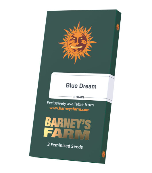 Blue Dream fem. 3StcK/60%Sat.40%Ind./65-70Tage
