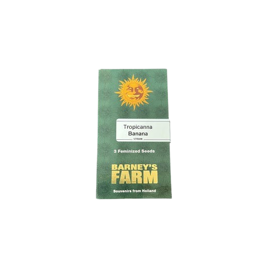 Tropicanna Banana fem.3StcK/60%Sat.40%Ind/65-70Tage