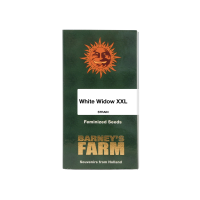 White Widow XXL fem. 10 StcK/25%Sat75%Ind/60-65Tage