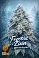 Frosted Zinn X 3 Bears OG Auto...