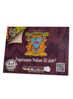 Tropicana Poison XL Auto Fem./3StcK/40%Sat.60%Ind./8 Wochen
