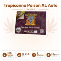 Tropicana Poison XL Auto Fem./3StcK/40%Sat.60%Ind./8 Wochen