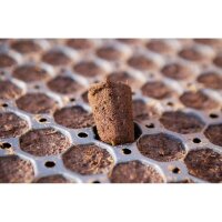Jiffy Plugs 104 Tray