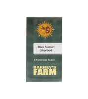 Blue Sunset Sherbert /fem./Sat.35%Ind.65%/59-63Tage