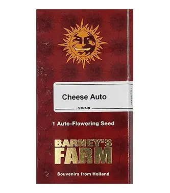 Cheese Auto/30%SAT.70%Ind./65-70Tage