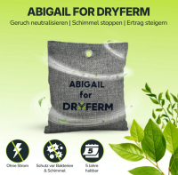 Abigail for DRYFERM – Luftreinigung fürs Growzelt