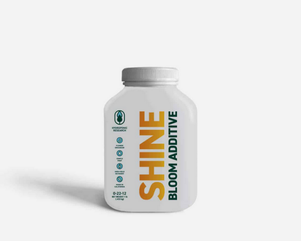 SHINE CLEAN Additive 450g