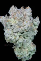 Strawberry Banana Auto 3StcK/45%Sat./10-11Wochen