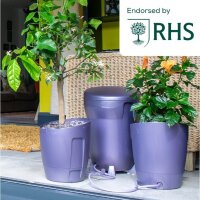 AUTOPOT Khloris Watering System Blackberry