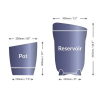 AUTOPOT Khloris Watering System Blackberry