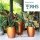 AUTOPOT Khloris Watering System Copper