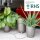 AUTOPOT Khloris Watering System Sage
