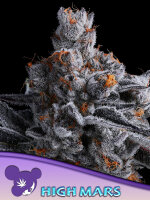 High MARS 3 StcK/60%SAT.40%IND./9-10Wochen