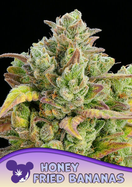 Honey Fried Bananas 3 StcK/20%SAT:80%IND./7-8Wochen