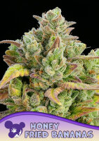 Honey Fried Bananas 3 StcK/20%SAT:80%IND./7-8Wochen