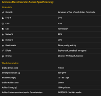 Amnesia Haze 3StcK/Sat.80%/Ind.20%/70-85Tage