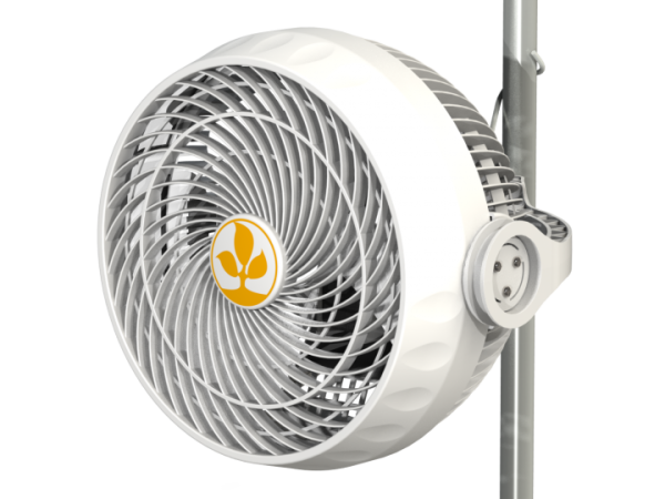 Secret Jardin Monkey Fan 18cm 30W