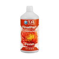 T.A. Final Part 1L
